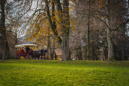 Romantic wooden vintage carriage drawn by horses is being pulled through the magical forest or...