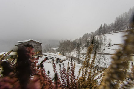 View from a balcony looking through different plants towards snow capped village or parking lot. Snow falling down in a rural village.の写真素材