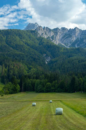 Heaps of hay in plastic enclosures on a field under the alpine mountains on a sunny day in Julian Alps, Slovenia.の写真素材