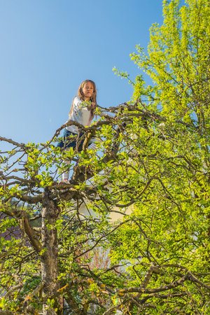 Young blonde caucasian girl climbing on a tree in beautiful sunny weather. Playful kid climbing to...