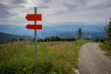 Two blank red signposts in nature, showing away from the gravel road leading downhll towards...