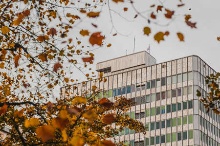 Modern skyscraper in silver color is seen behind a curtain of brown and orange leaves in downtown city. Overcast day with grey skiesの写真素材