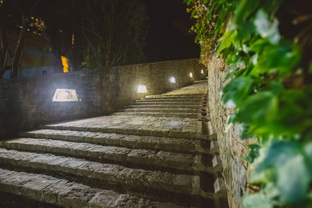 A row of stone stairs slowly sloping to the right during night time. Some green plants are seen in...