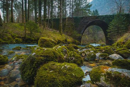 Stone bridge at the river spring of Kamniska Bistrica in Slovenia in dry winter time. Cold enchanted bridge with flowing water underneath in the middle of the forest.の写真素材