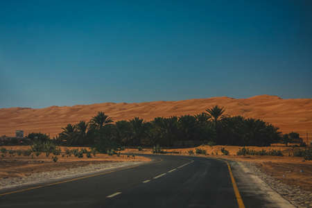A green oasis on the road towards the Al Wahiba sand dunes in Oman. Hot and orange sand is visible in the background over a rich blue skyのeditorial素材