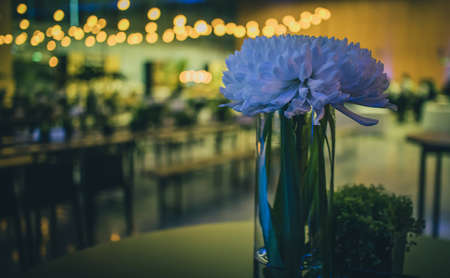 Detail of a flower decoration on a fancy gala event with romantic lighting.の写真素材
