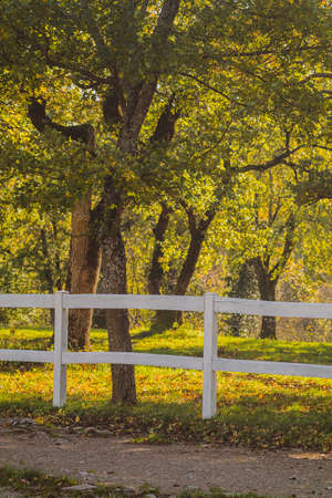 White wooden fence next to a walk path and lush green trees in the background. White fence on a ranch in autumn sun.の写真素材