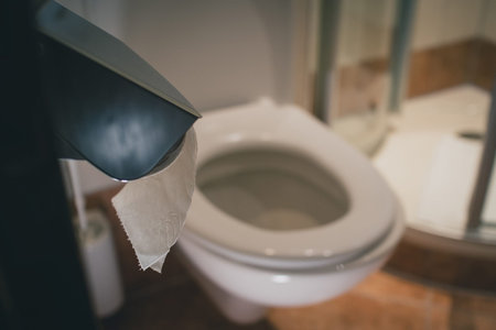 Toilet paper roll on a hanger in a hotel bathroom. Visible toilet and flush button in the...
