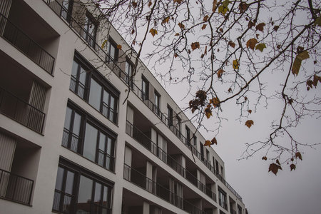 Facade of a new house or residential block. New white front of a house or city block. Tree in the foreground. Dull gray winter or autumn day.の写真素材