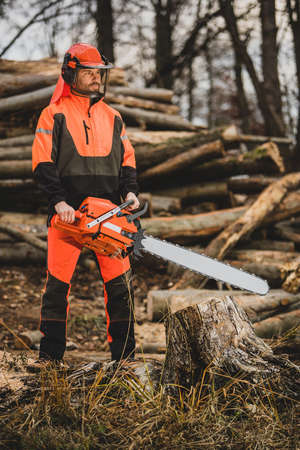 A chainsaw operator standing next to a tree trunk, holding a big orange chainsaw. Protective equipment is used, such as helmet, pants and a vest.の写真素材