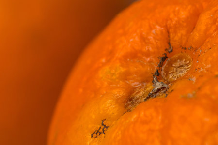 Closeup or macro of a natural orange skin with mole. Juicy orange up close.