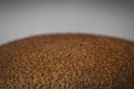 Brown hairy skin of a kiwi fruit. Macro or close up photo of kiwi skin on a white background. Detail...