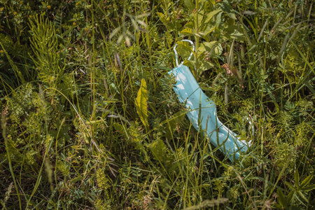 Disposed protective face mask in the nature. Pollution with safety mask against covid. Trending and...
