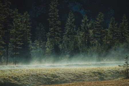 Mist rising from the ground in an open space or field between the forest. Fog rising up on a field.の写真素材