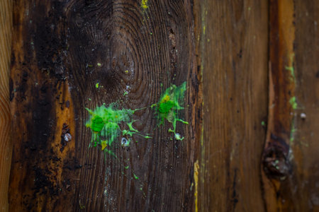 Green paintball marks on wood or tree. Two green splat marks of a paintball bullet on a wooden...