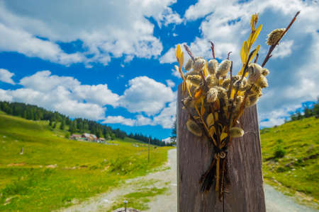 Pussy willows as an ornament on a wooden pole in front of a mountain hut in the austrian alps on a beautiful sunny day.の写真素材