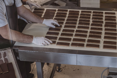 Hands of a person seen laying pieces of chocolate bars on a conveyor belt in a chocolate factory. Spreading chocolate bars in a factory.の写真素材