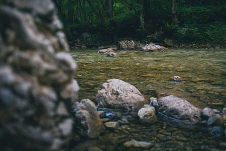 Tranquil setting at a river with some river stones sticking out of the surface. Iska River in slovenia in the dense woods of mount krim.の写真素材