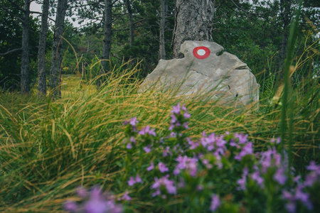 Hikers mark or markacija, panted circle with a dot on a tree or stone, to reveal the path to the top of the hill.の写真素材