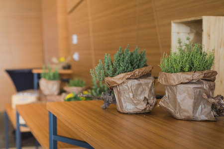 Green decor or decoration wrapped in paper bags on a desk at a brunch time on a business meeting or conference. Serving tables in the background.の写真素材