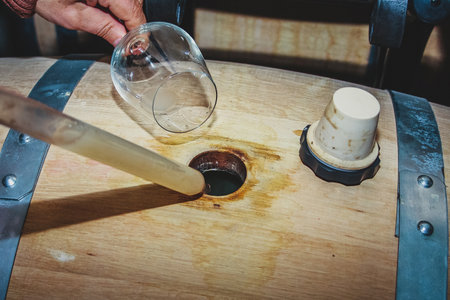 Trying or testing wine from a barrel in a wine cellar, using a pipette and a glass.の写真素材