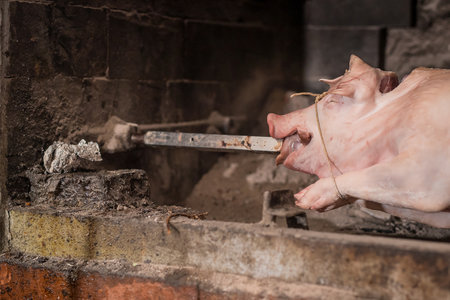 Pig on a metal rod is being prepared to be turned on a traditional balkan grill called rostilj or odojek. Fresh pig waiting on a grill. Detail of rod inserted into mouth.の写真素材