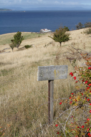 A summer meadow with sea in the background with a wooden signboard in the foreground. Good for no trespassing sign or similar.の写真素材