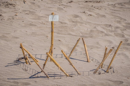 Sea turtles nest protected in the sand at Beach. Nest protected by Warning Signs on Wooden Post around Birth Site and some provisional fence around it, to warn tourists.の写真素材
