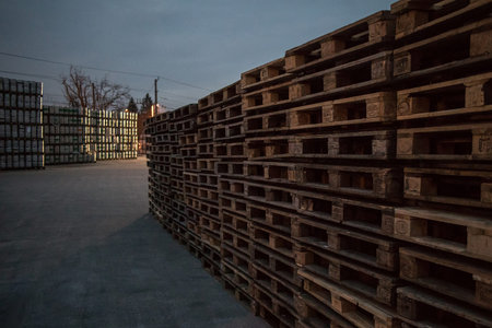 A row or stack of wooden euro palettes in early foggy morning. Used euro palettes waiting in an open...