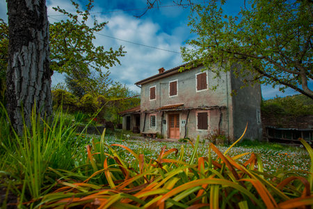 Beautiful old colorful building on the Karst or Kras land in Slovenia, surrounded by grass and lush trees with blue skies. Romantic village house.の写真素材