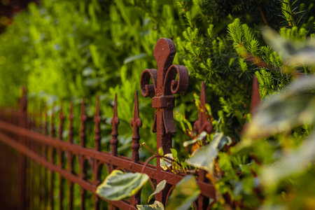 Old rusty iron fence in the garden. Shallow depth of field.の写真素材