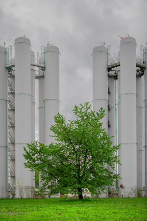 Beautfful green tree in front of an industrial buildings or gas tanks. Concept of contrast between green nature and heavy industry in the background.の写真素材