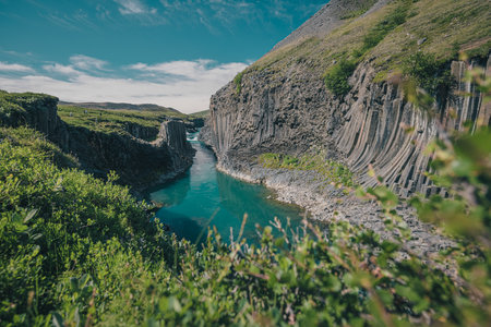 Overview of Studlagil canyon in Iceland, picturesque valley with basalt columns standing high on a warm summer day. Shot taken trough grassの写真素材