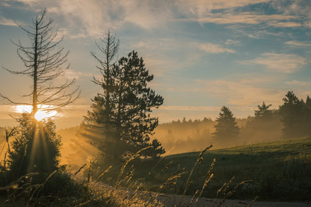 Early morning view of hills and forests in romantic mist and haze on warm summer morning on Strmca, slovenia. Sun peeking through forest.の写真素材