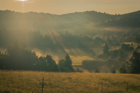 Early morning view of hills and forests in romantic mist and haze on warm summer morning on Strmca, sloveniaの写真素材