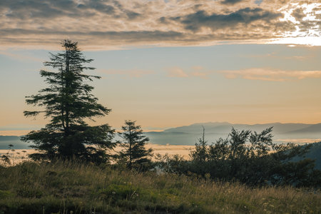 Early morning view of hills and forests in romantic mist and haze on warm summer morning on Strmca, slovenia. Sun peeking through forest.の写真素材