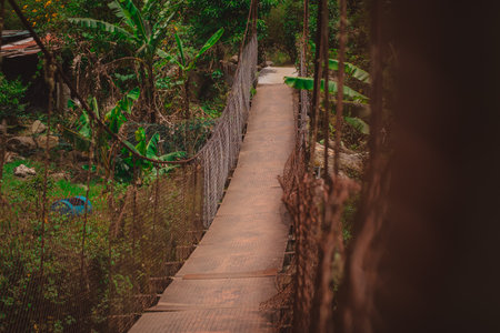 Suspension bridge in poor shape viewed from one side as part of walkways in Bouquete, Panama, in a lush green rainforest or cloudforest. Popular hiking trails in Panama.の写真素材