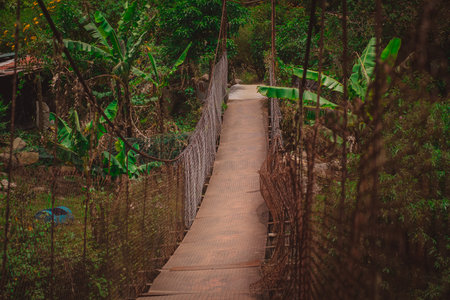 Suspension bridge in poor shape viewed from one side as part of walkways in Bouquete, Panama, in a lush green rainforest or cloudforest. Popular hiking trails in Panama.の写真素材