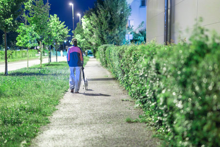 Single lonely woman walking her small white dog at night. Rear view of a woman taking an evening walk with a dog. Relaxing strollの写真素材