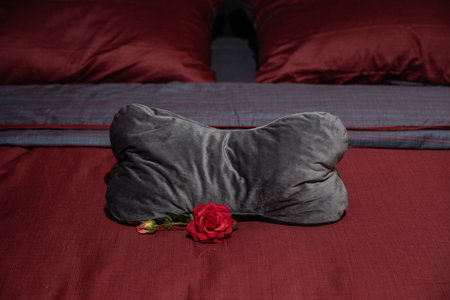 Red rose flower in front of a pillow on a soft cozy red bed.の写真素材