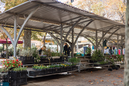 Market in Pula, Croatia on a sunny day. Typical market stalls with part which is selling fresh flowers and aromatic plants. Istrian delightsの写真素材