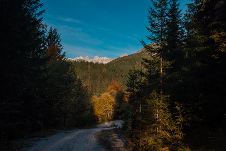 Beautiful panorama from Uskovnica plateau in autumn with brown yellow and green trees in front of a majestic alpine backdrop of julian alps.の写真素材