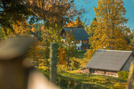 Cottages and other houses among brown and yellow trees in autumn time on a Uskovnica plateau in the heart of slovenian Julian alps.の写真素材