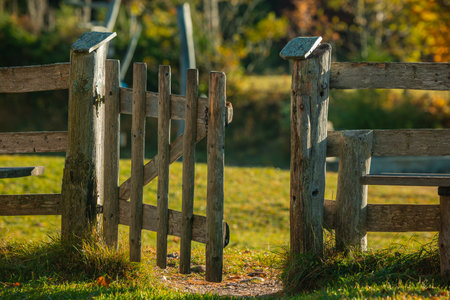 Rural wooden gate in green environment, such as mountain pasture, meadow or similar. Seen on Uskovnica plateau in slovenian julian alps.の写真素材