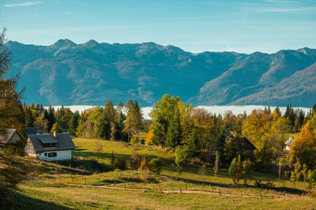 Beautiful panorama from Uskovnica plateau in autumn with brown yellow trees in front of a majestic alpine backdrop of julian alps, cottages and cloudy bohinj lake.の写真素材