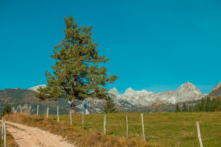 Beautiful panorama from Uskovnica plateau in autumn with brown yellow and green trees in front of a majestic alpine backdrop of julian alps.の写真素材