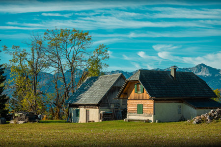 Cottages and other houses among brown and yellow trees in autumn time on a Uskovnica plateau in the heart of slovenian Julian alps.の写真素材