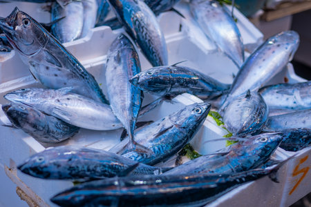 Multitude of fresh fish on a fish market in naples. City stalls on market street selling sea products directly from the seaの写真素材