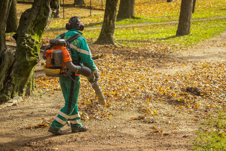 Back view of a public worker using leaf blower to clean path in a park from fallen leaves. Autumn scene in park, maintenance of paths..の写真素材