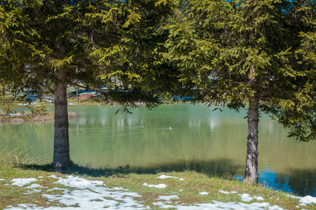 Beautiful blosko jezero or bloke lake in early spring, with cold lake, green grass and snow patches still visible and some ducksの写真素材